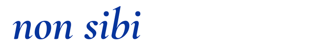 Non Sibi Ventures logo